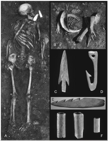 Grave of an elderly woman from Ajvide, Gotland, with grave goods such as axes, animal teeth, arrowheads, fishhooks (Source: Molnar, P., 2010)