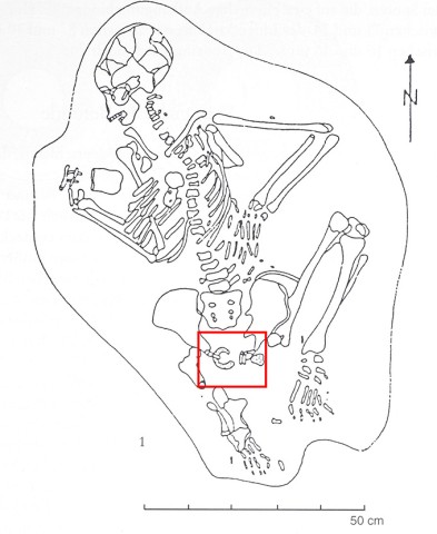 Planumszeichnung der Toten aus Grab 8. Rotes Viereck: Lage des Tonrings im Grab (Scherzler, Abb. 3.1)