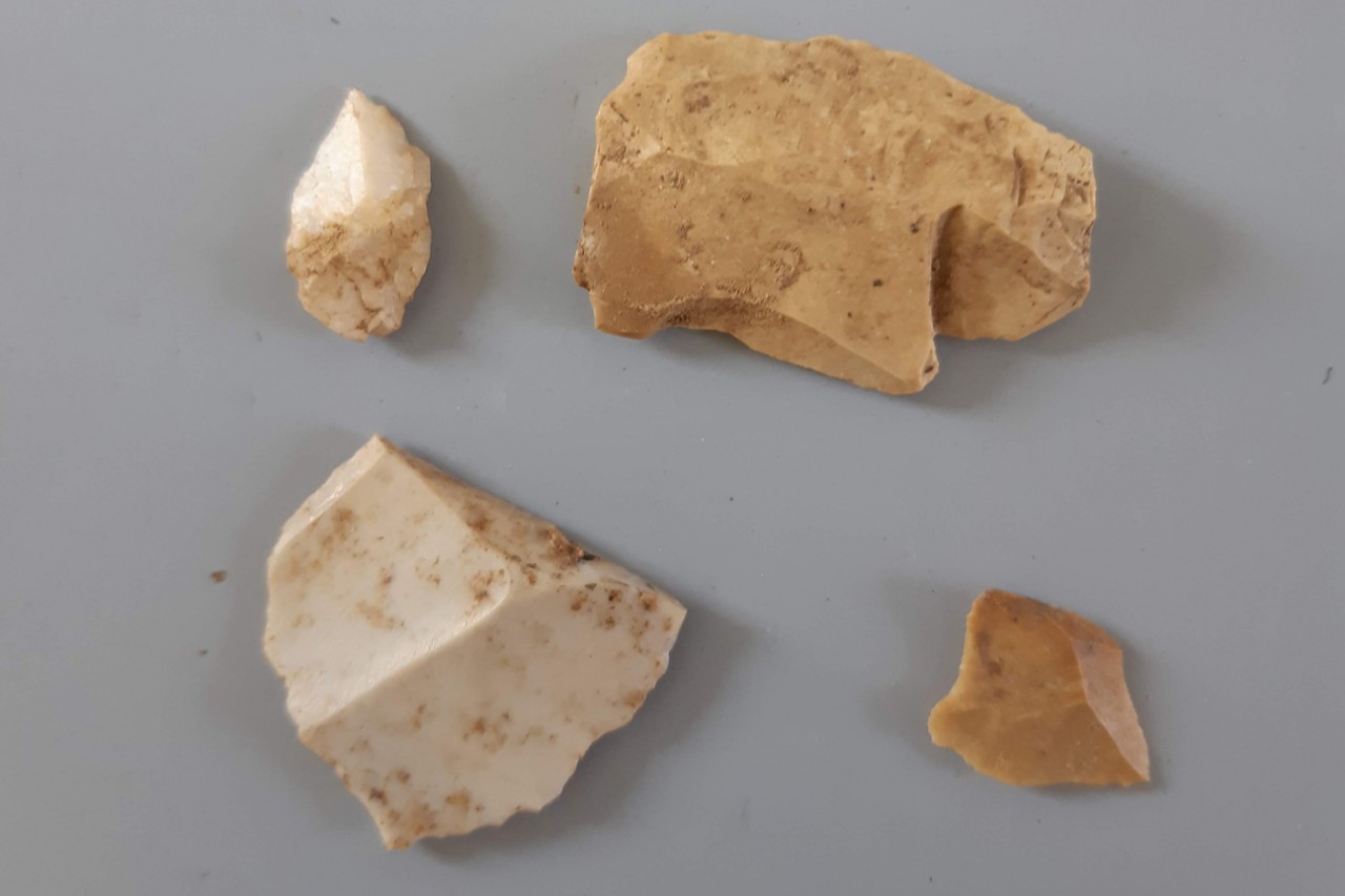 Fragments and cutting of hornstone from Marktbreit / IN TERRA VERITAS excavation. (Photo: Beatrice Krooks)