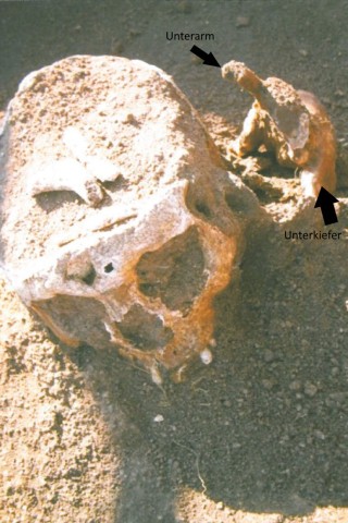 Detailfoto der Bestattung mit auf dem Unterarm aufgespießtem Unterkiefer. Der Schädel ist im Zuge der Verrottung nach hinten verkippt.